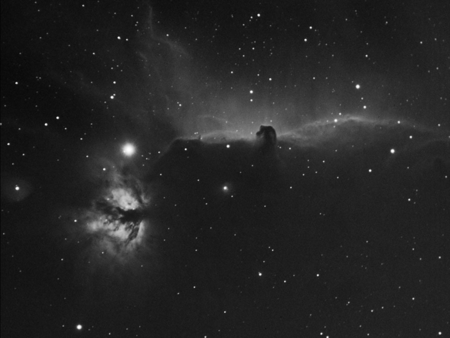 Horsehead nebula Ha, Carole Pope Skywatcher Evostar ED80 Pro - Atik Cameras