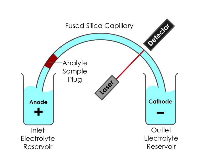 Capillary Electrophoresis Atik Cameras 